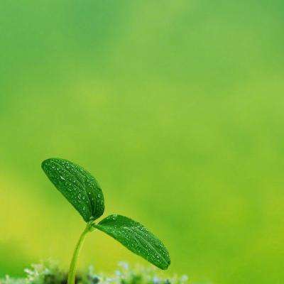 开云·kaiyun体育app下载截图